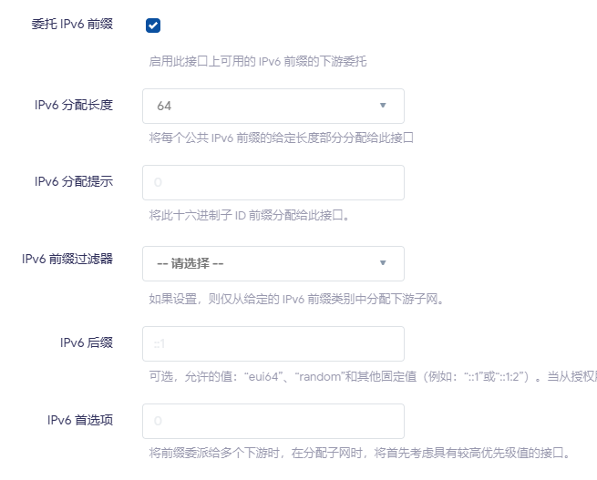 LAN-高级设置